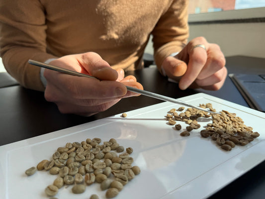 Quality Control: Software and Senses Mixed – The Future of Coffee Tasting