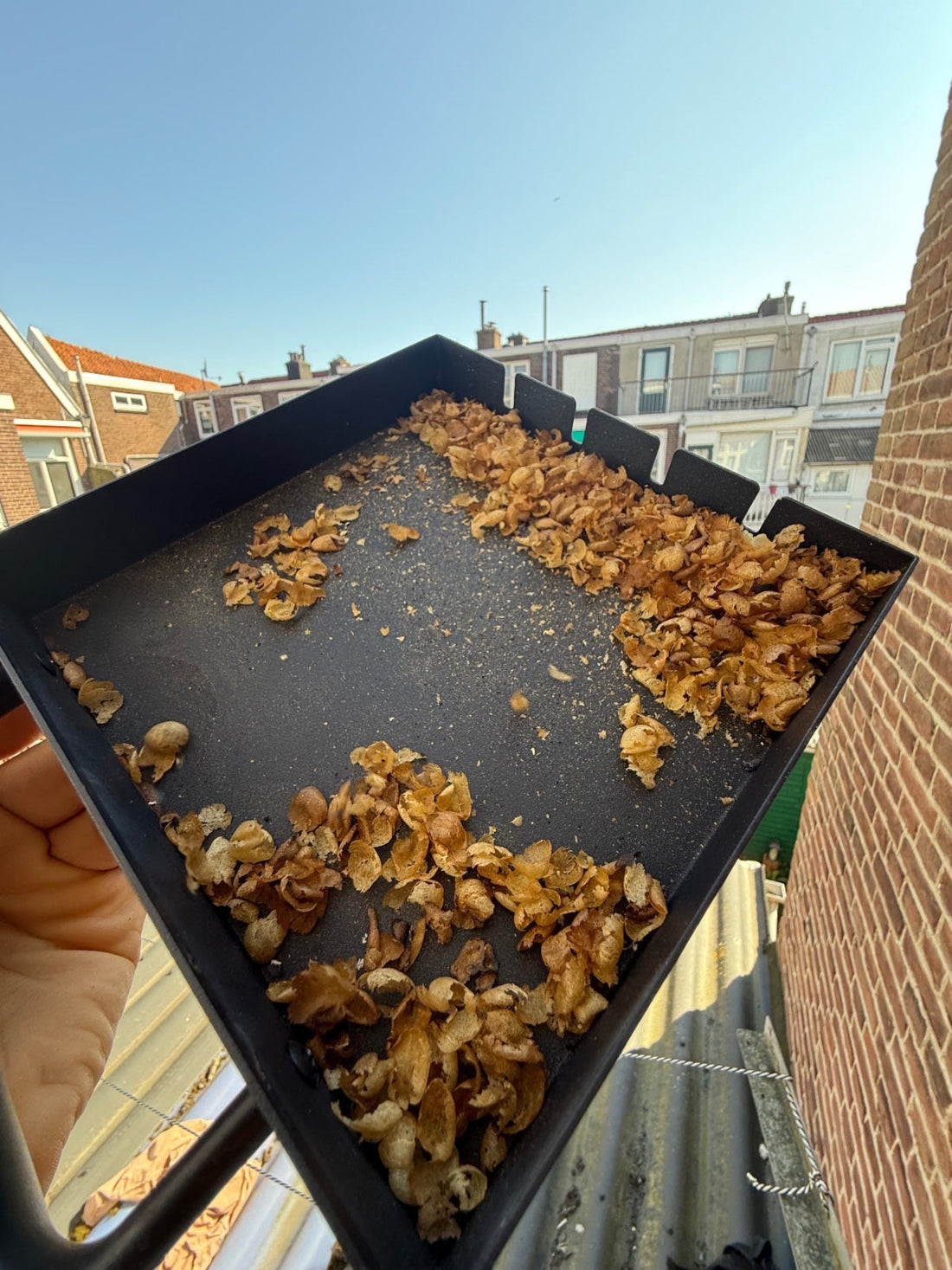 Technology’s Role in Reducing Coffee Waste
