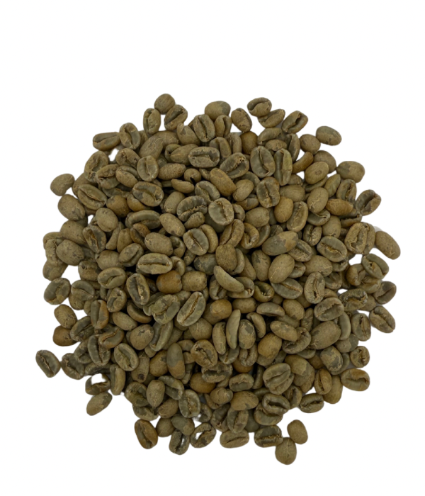 Panama Geisha – Carmen ST